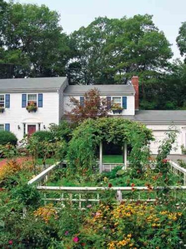 An Easy, Instant Garden Plan